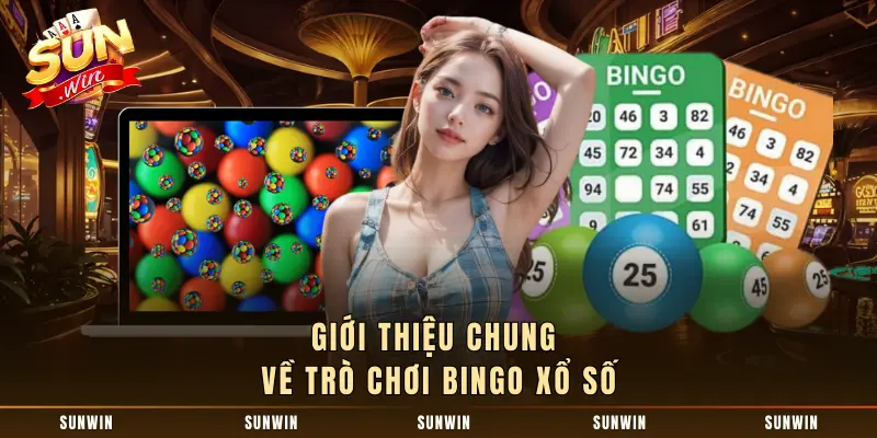Giới thiệu chung về trò chơi bingo xổ số 