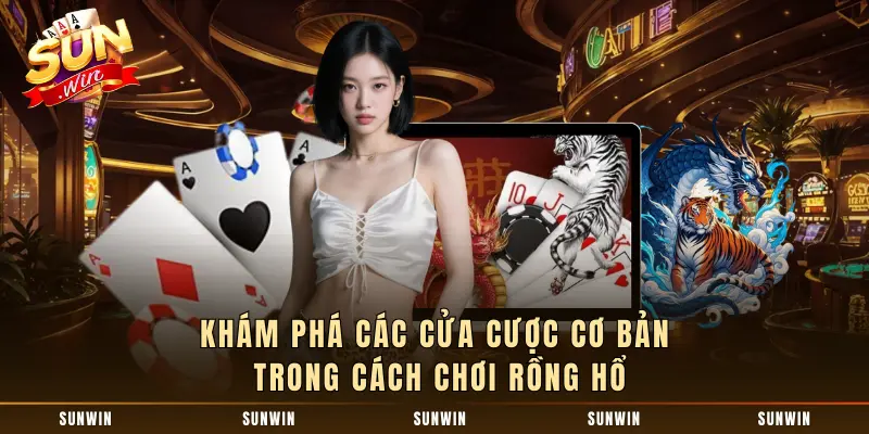 Khám phá các cửa cược cơ bản trong cách chơi rồng hổ